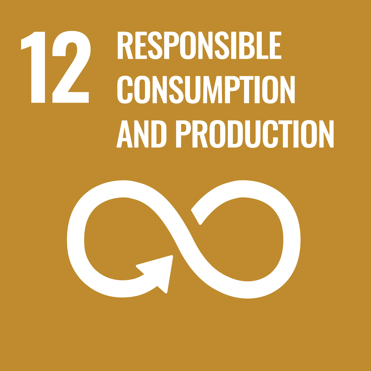 SDGs12.RESPONSIBLE CONSUMPTION AND PRODUCTION