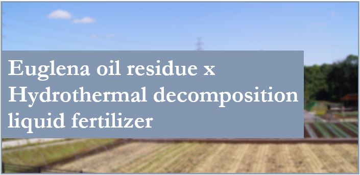 Euglena oil residue x Hydrothermal decomposition liquid fertilizer